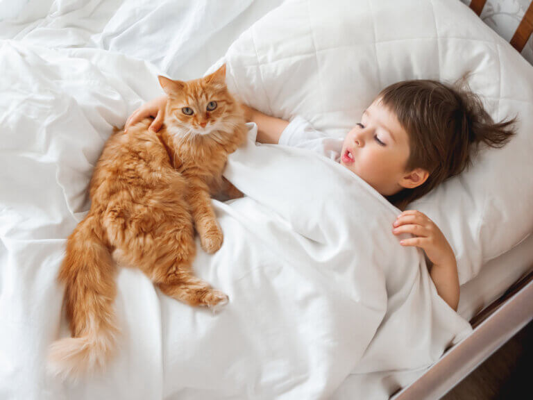 Sällskapet av en katt kan göra att barn känner sig lugnare och tryggare.