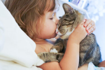 Att ha en katt kan stärka ditt barns känslomässiga hälsa